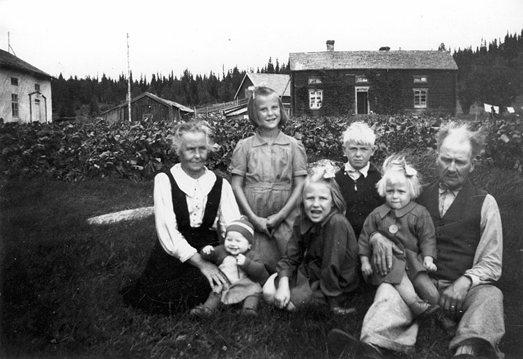 Jonas och Lovisa Perssons gård 1945.