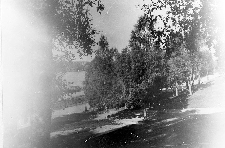 Döbelns park 1949.