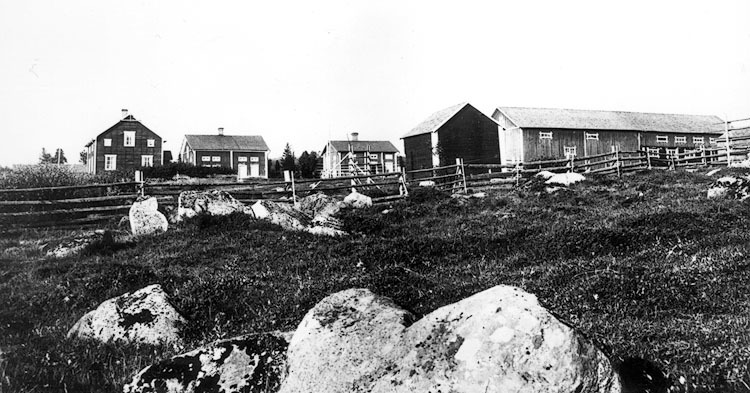 Hilbert Erikssons gård 1934 med ladugård byggd ...