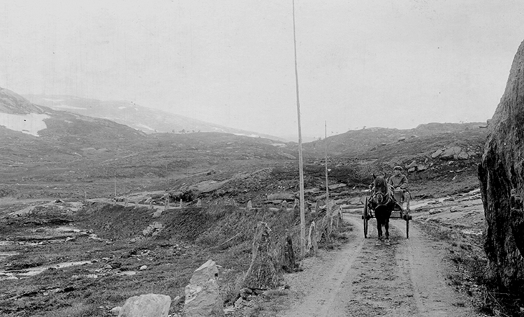 Vägen mot riksgränsen, troligen . foto 1917.