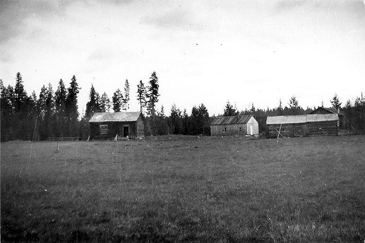 Svärmyrfäbodarna år cirka 1940.