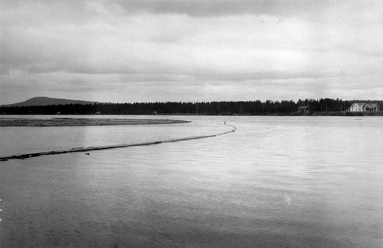 Ångermanälven 24 juni, 1921.