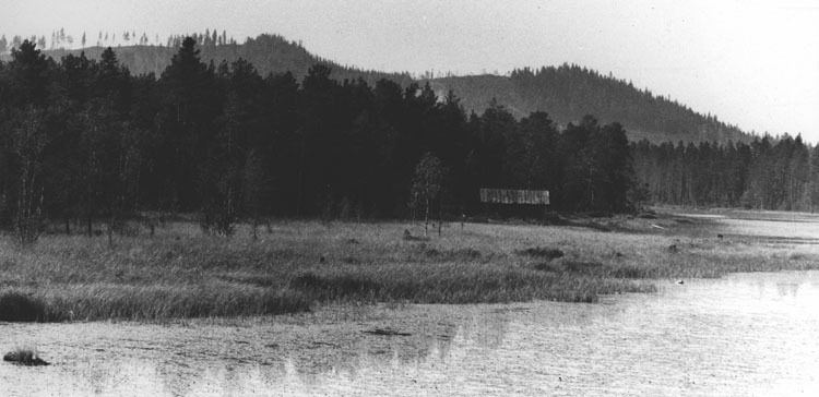 Slåtteräng fotograferad från landsvägsbron, Sör...