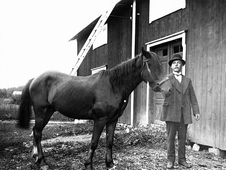 Hjalmar Karlsson, Välvsjön, med en häst.