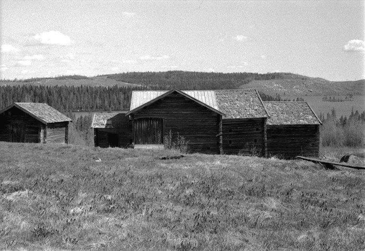 Foto: B-Å Johansson, 5/6-1973.