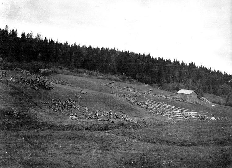 Grupp av soldater från I 20 vid Tavelsjön 1925.