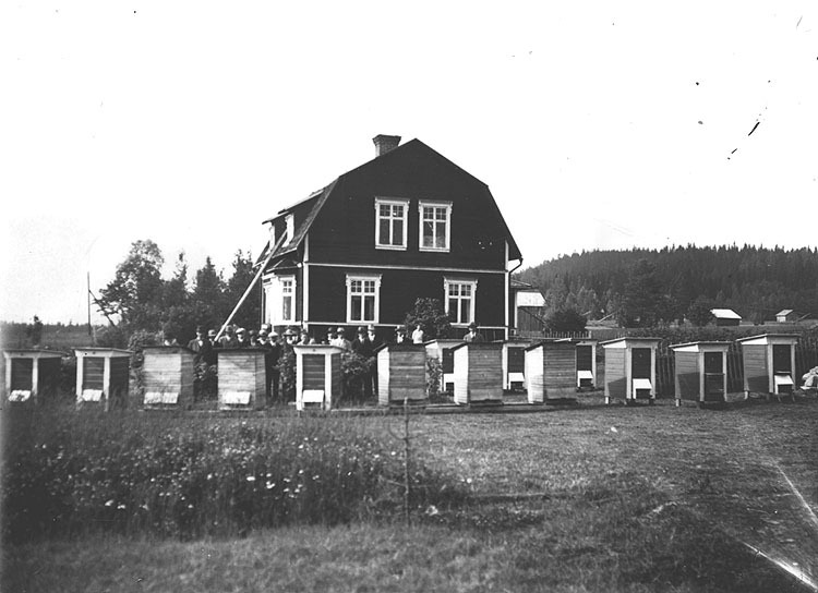 Rickard Eriksson bigård Fålla/ Agnäs 1930-talet.
