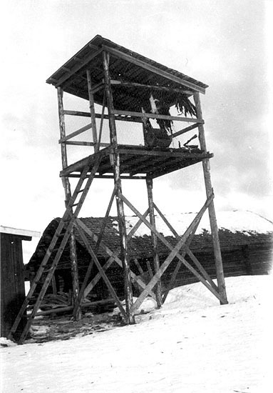 Torn för torkning av pälsdjurfoder 1936.