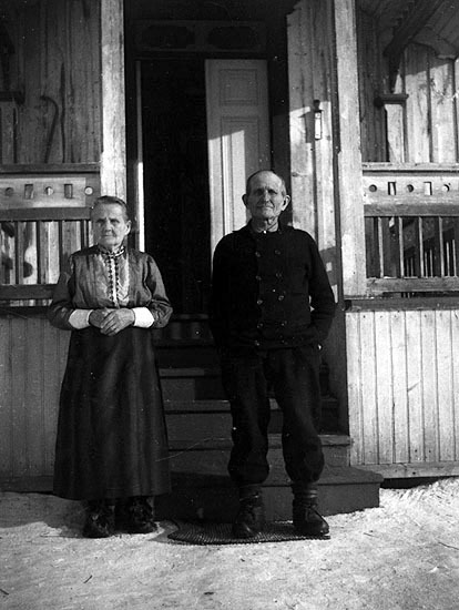 Olov-Petter Vesterlunds gård 1940.