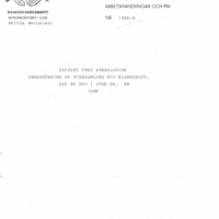 Wennstedt, Britta. 1988. - Rapport över arkeologisk undersökning av stensamling vid Blankselet, Raä nr 204 i Jörn sn, Vb 1988.