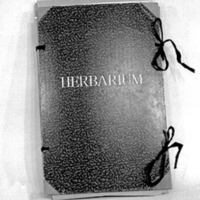 Vbm 16418 - Herbarium