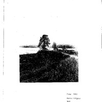 Löfgren, Maria. 1983. - Rapport över arkeologisk undersökning av stenåldersboplats: Raä 733, Öv Sandsele, Sorsele sn o kn, Lappland.