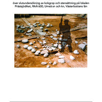 Andersson, Berit. 2000. - Rapport över slutundersökning av kokgrop och stensättning på lokalen Prästsjödiket, Raä 600, Umeå sn och kn, Västerbottens län.