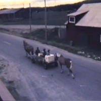 VBM Film 134 - Hästekipage i Botsmark 1966
