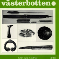Sundström, Susanne. 1993. - Järnåldersfynden från Varris.