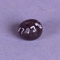 Vbm 17938 105 - Pärla