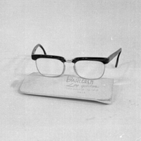 Vbm 16585 - Glasögon