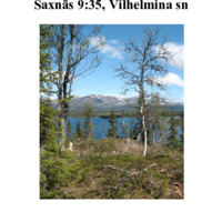 Eliasson, Laila. 2008. - Arkeologisk rapport Saxnäs 9:35, Vilhelmina sn.