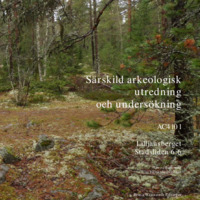 Wennstedt Edvinger, Britta. 2014. - Särskild arkeologisk utredning och undersökning, AC4101, Lilljansberget, Stadsliden 6:6. Umeå kommun, Västerbottens län.