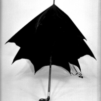 Vbm 13687 - Paraply