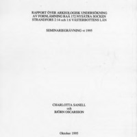 Sanell, Charlotta & Oscarsson, Björn. 1995. - Rapport över arkeologisk undersökning av fornlämning Raä 172 Nysätra socken, Strandfors 2:14 och 1:6 Västerbottens län, Seminariegrävning vt 1995.