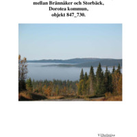 Eliasson, Laila. 2009. - Rapport över inventering av forn-och kulturlämningar mellan Brännåker och Storbäck, Dorotea kommun, objekt 847-730.