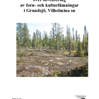 Eliasson, Laila. 2008. - Rapport över inventering av forn- och kulturlämningar i Grundsjö, Vilhelmina sn.