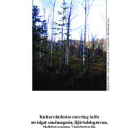 Johansson, Lage. 2007. - Kulturvärdesinventering inför utvidgat sandmagasin, Björkdalsgruvan, Skellefteå kommun, Västerbottens län.
