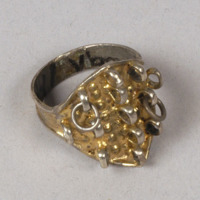 Vbm 1541 - Ring
