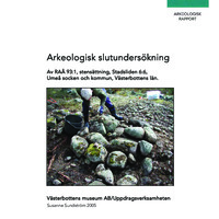 Sundström, Susanne. 2005. - Arkeologisk slutundersökning av Raä 93:1, stensättning, Stadsliden 6:6, Umeå socken och kommun, Västerbottens län.