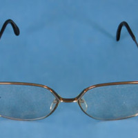 Vbm 16730 - Glasögon