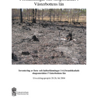 Joelsson, Jeanette. 2004. - Fornlämningar och skogsbränder i Västerbottens län. Inventering av forn- och kulturlämningar i två brandskadade skogsområden i Västerbottens län.