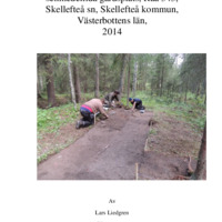 Liedgren, Lars. 2014. - Arkeologisk delundersökning av en senmedeltida gårdsplats, Raä 343, Skellefteå sn, Skellefteå kommun, Västerbottens län, 2014.