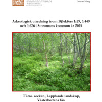Klang, Lennart. 2015 - Arkeologisk utredning inom Björkfors 1:29, 1:449 och 1:626 i Storumans kommun år 2015. Tärna socken, Lapplands landskap, Västerbottens län.