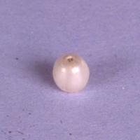 Vbm 17938 120 - Pärla