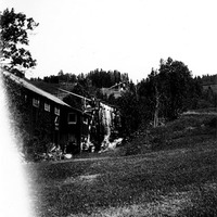 JLM NTh18529 - Skogsbruk