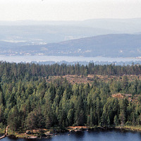 JLM BW-ÅAS24 28 - Skogsbruk