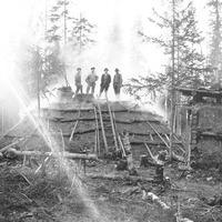 JLM PaPå192 - Skogsbruk