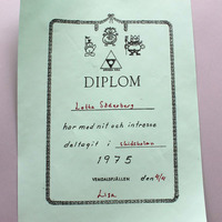 JLMR 30303 - DIPLOM