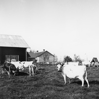 JLM INLÅN570 - Jordbruk