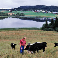 JLM BW-ÅBS24 6 - Jordbruk