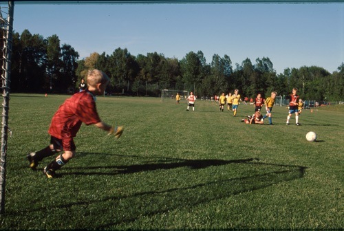 Fotboll pojkar 6-8 år, i mål Emil Persson 2000-...