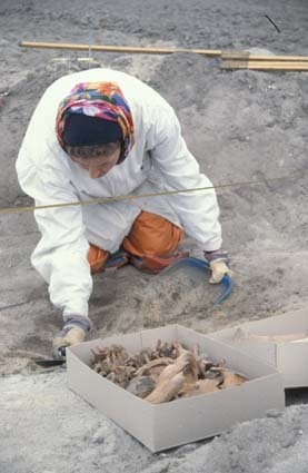 Arkeologisk undersökning av flatmarksgrav. V Lj...