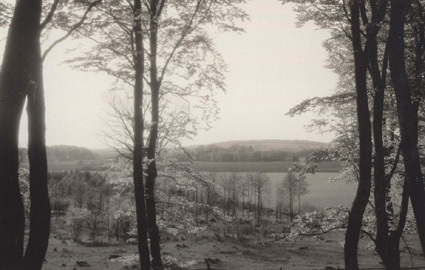 Vår i Bökeberg, Skåne 1925