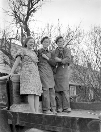 Fruktpackare Nisse, Gösta och Greta Vånga.