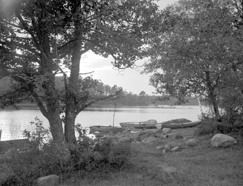 Sjön från Orabacken Mjönäs.
