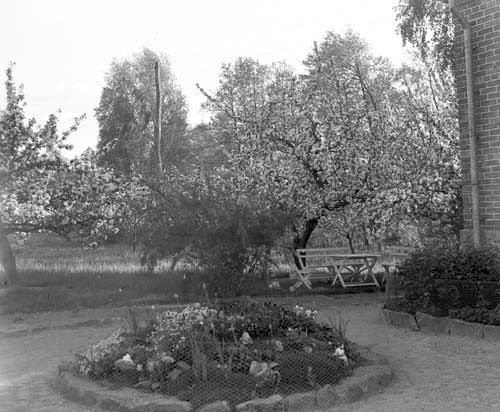 Banvakt Johanssons trädgård Österslöv.