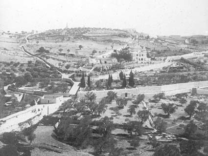Jerusalem, oljeberget med trägården Getsemane.