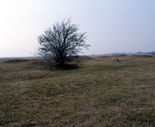 Järnåldersgravfält, Trelleborg