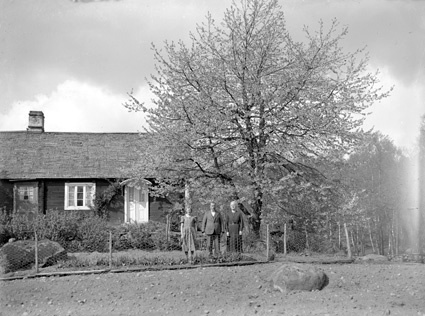 Sven Glads Hillehaga huset o träd.